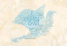 4 Letter Birds: Quick and Cute Bird Name Guide 4 letter birds