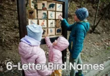 6 Letter Birds: A Fascinating List of Avian Names 6 letter birds